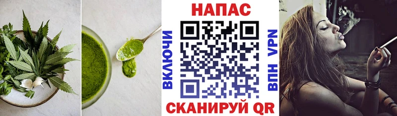 Купить закладки  Камешково  Cannafood марихуана 