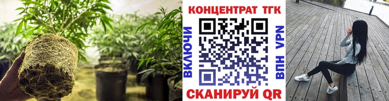 Купить закладки  Камешково  ТГК вейп 
