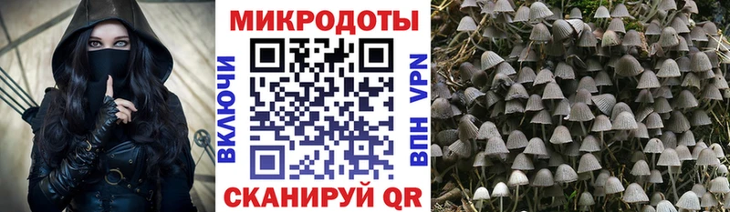 Купить  Камешково  Псилоцибиновые грибы Magic Shrooms 
