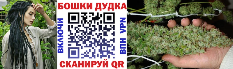 Купить где  Камешково  Бошки марихуана Amnesia 
